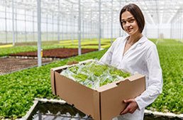 Alquiler de Generadores El&eacute;ctricos para el sector agr&iacute;cola