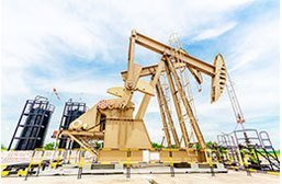 Alquiler de Generadores El&eacute;ctricos para el sector petrolero
